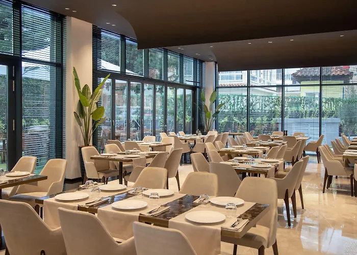 Elisa Tirana, Affiliated By Meliá