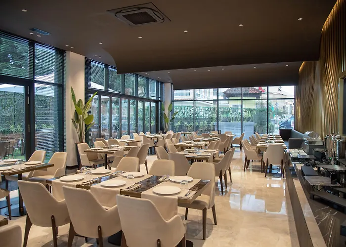 Elisa Tirana, Affiliated By Meliá Tirana