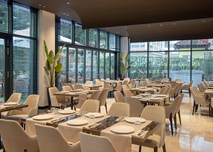 Elisa Tirana, Affiliated By Meliá Tirana