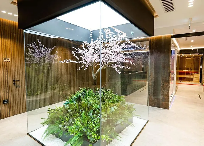 Elisa Affiliated By Melia Тирана